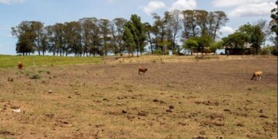 Chuvas, estiagem e seca deixam 20 municípios em situação de emergência