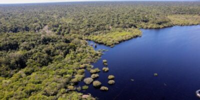 Viva Maria destaca experiência em 360 graus no coração da Amazônia