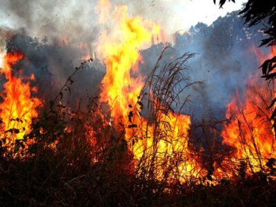 Mundo caminha para aquecimento sem precedentes, alerta relatório da ONU