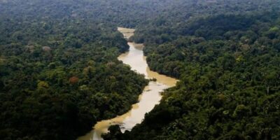 Fundo Amazônia aprova mais de R$ 1 bilhão no primeiro semestre