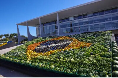 Plano Safra 25/26 prevê R$ 89 bilhões para agricultura familiar