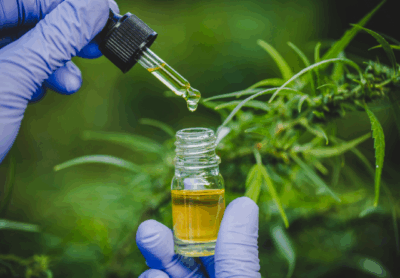 Justiça determina que plano não é obrigado a fornecer ‘óleo de cannabis’