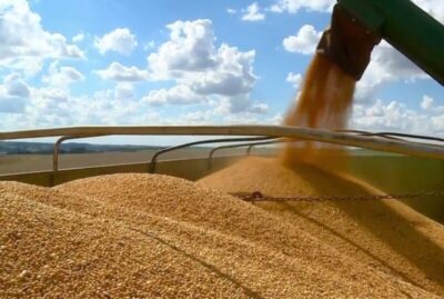 Maranhão é o segundo maior exportador do Nordeste em 2024, aponta Boletim do Comércio Exterior
