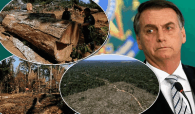 Assim como a Alemanha, Noruega suspende repasses para a proteção da Amazônia