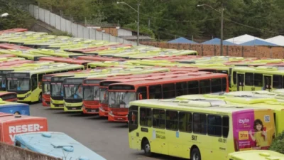 A curiosa história dos meios de transporte coletivo de SL