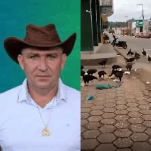 Caos! Sem coleta regular de lixo, urubus dominam paisagem urbana em Amarante do Maranhão