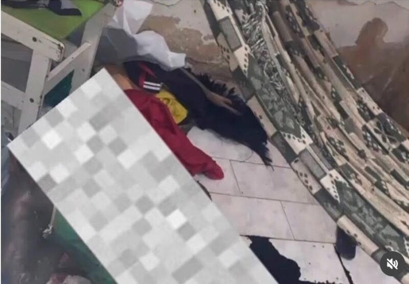 Foto: Reprodução