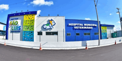 Tensão e abandono: Hospital Público Veterinário de São Luís afunda em denúncias e pressão