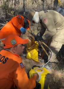 Maranhão avança no combate às queimadas com medidas em áreas mais afetadas