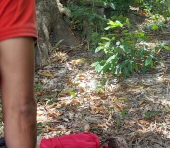 Homem é executado a tiros em São José de Ribamar durante confronto de facções