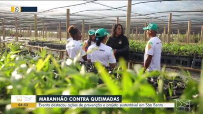 Governo proíbe uso de fogo para limpeza e manejo de áreas rurais