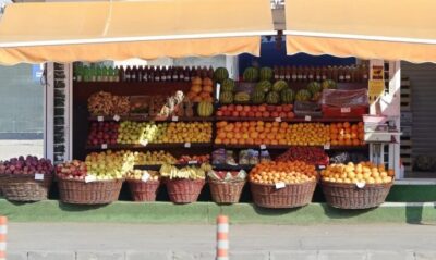 15° Feira do produtor em Curitiba, confira as imagens!