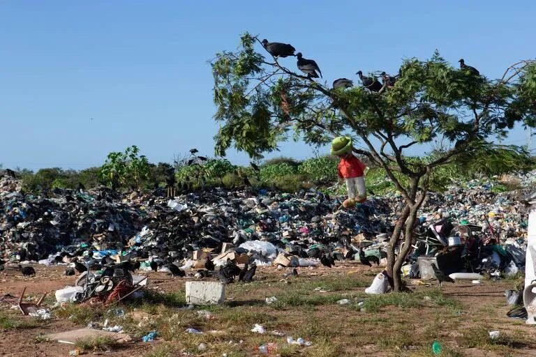 Foto: Reprodução