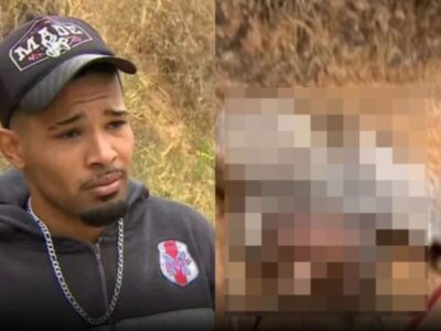 O Ministério Público de São Paulo, apresentou denúncia de m4us-tratos contra o homem que mvtilou um cavalo, em Bananal