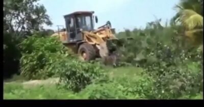 Caetano Veloso critica Justiça do Maranhão por ação de despejo em…