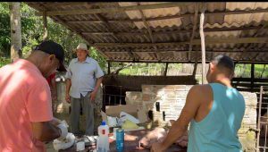 Prefeitura de Pinheiro através da secretaria de Agricultura, leva ação para a comunidade católica Maranathá, Fazenda do Amor Misericordioso