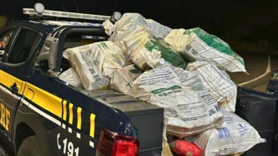 PRF apreende quase meia tonelada de skunk em fundo falso de caminhão na BR-316