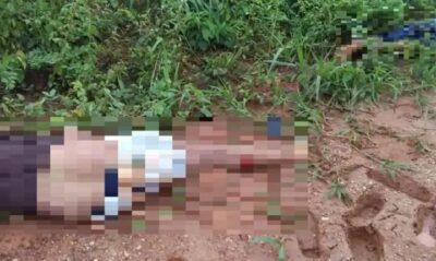 Casal é atropelado na BR-010 na madrugada desta quarta 13