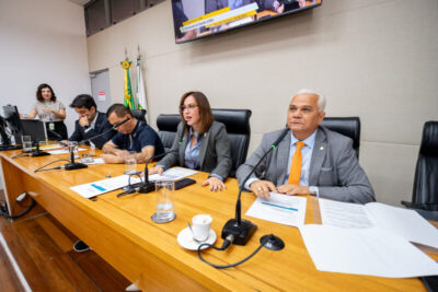 Comissão acata campanhas sobre doenças e o Dia dos Cuidados Paliativos