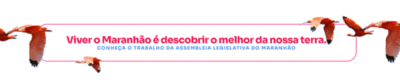 Iracema Vale visita a 33ª edição da Vaquejada de Colinas e destaca importância do evento para a cultura e a economia do Maranhão