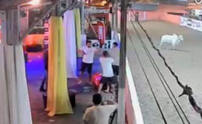 Exclusivo :Tiros em Trizidela: ‘Testa de Ferro’ de Fred Maia, Rafael Torres, Atira em Jovem Durante Vaquejada