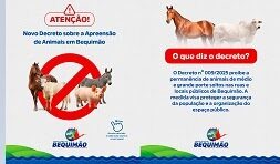 Decreto prevê apreensão de animais soltos em vias públicas de Bequimão