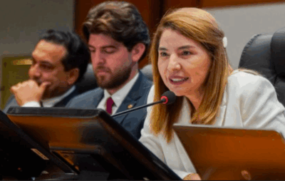 Iracema Vale reforça avanço das pautas no Legislativo