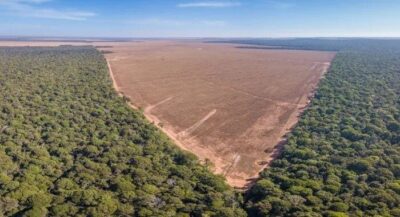 Estudo aponta o desmatamento como maior fonte de emissão de gases de efeito estufa no Brasil