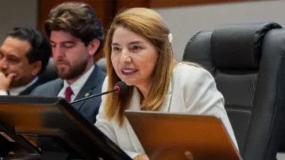 Iracema Vale destaca avanço das pautas no Legislativo e perspectivas de expressivo volume de proposições nesse semestre