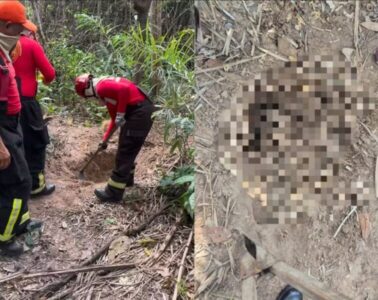 Corpos são encontrados em área de vegetação em Imperatriz e caso está sob investigação
