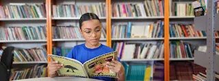 Governo de Minas Gerais: Estudantes mineiros acessam mais de 740 mil livros digitais com plataforma de leitura