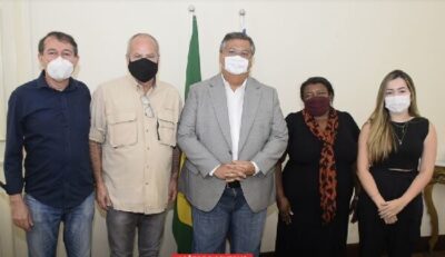 Governador Flávio Dino alinha parceria para exploração do babaçu