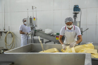 Maranhão avança com nova ‘Rota do Queijo’ e conquista prêmios importantes no cenário nacional