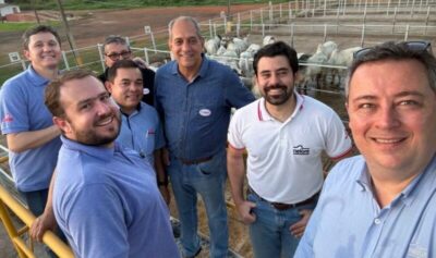 Sexta etapa do Circuito Nacional de Nelore realizado no Maranhão