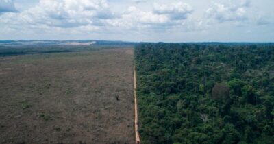 Desmatamento na Amazônia Legal cresce 68% em janeiro