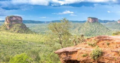 Maranhão reduz desmatamento do Cerrado com queda recorde
