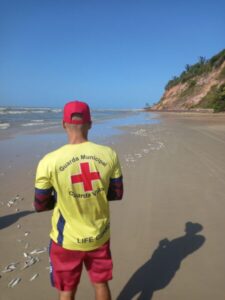 Mortandade de sardinhas intriga moradores na orla de São Luís