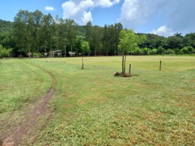 Campeonato do Pimba reúne atletas e torcedores em Pastos Bons