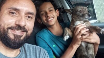 Ajude a Encontrar o Tigrão