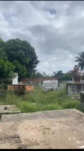 Cemitério de Matinha é Tomado pelo Mato e Abandono Revolta Moradores