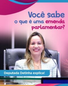 Entenda o que é emenda parlamentar e como Detinha tem usado esse recurso para beneficiar o Maranhão