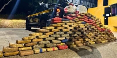 – Blog o Morango do Nordeste