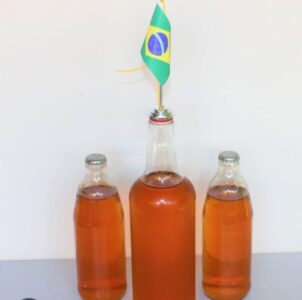 Governo do Ceará vai usar cajuína na merenda escolar após ‘tarifaço’ americano