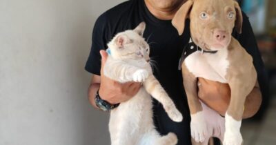 Timon realiza primeiro mutirão de castração de animais
