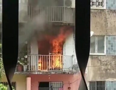 Incêndio em apartamento deixa um cachorro morto no bairro Bequimão, em São Luís