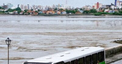 Transporte público semiurbano será gratuito na Ilha no feriado de Corpus Christi