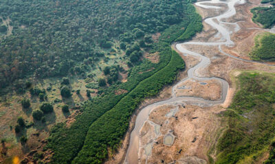 Governo veta 63 pontos de projeto e mantém rigor no licenciamento ambiental