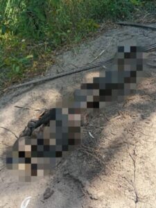 Corpo com as mãos amarradas é encontrado em Paço do Lumiar
