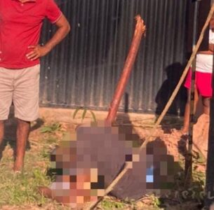 Homem morre ao cair de árvore sobre toco, que atravessa o corpo dele
