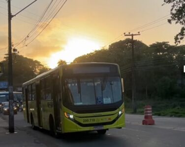 Ônibus sem condições de rodar prejudicam trânsito de São Luís